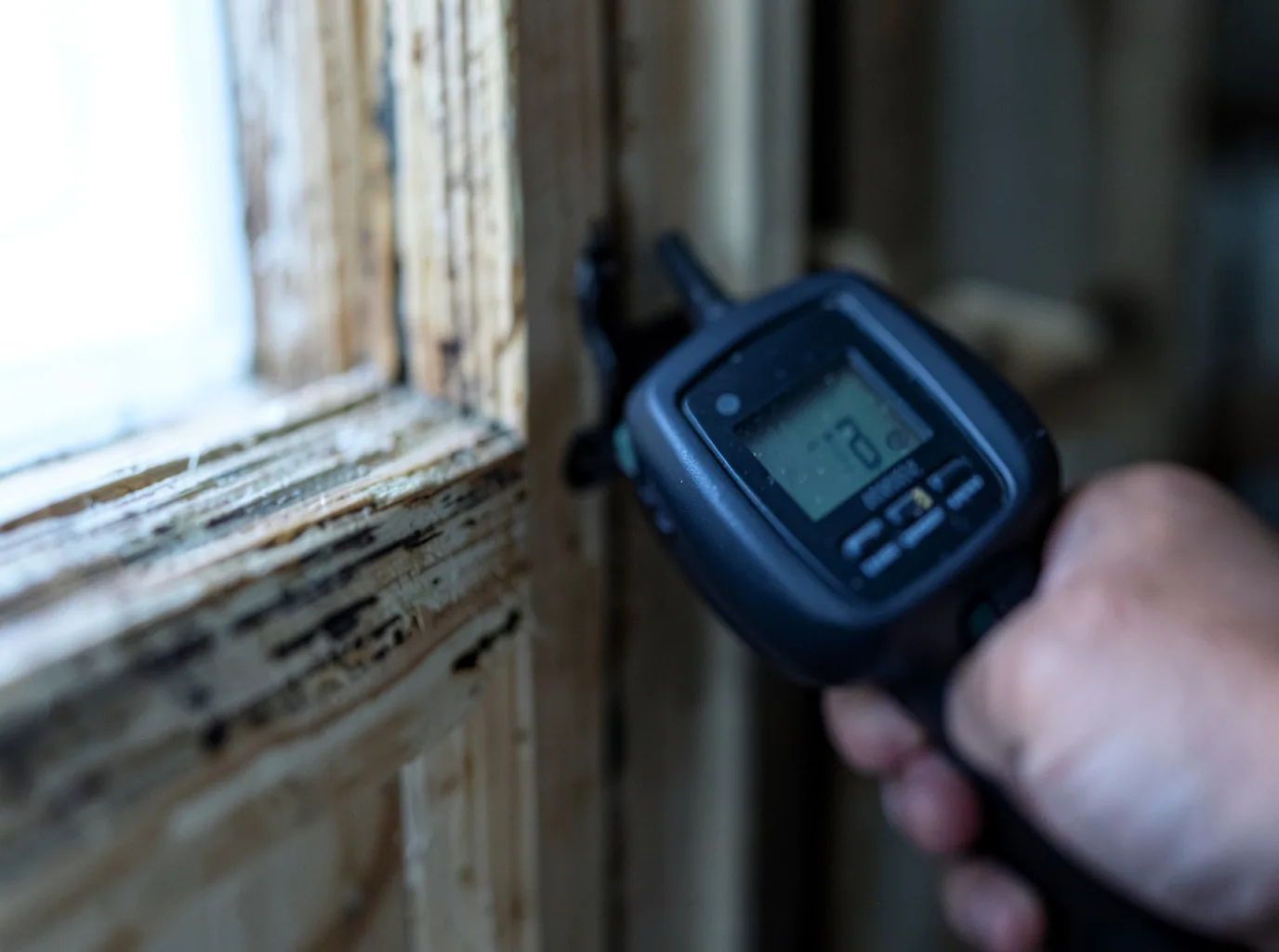 Moisture Inspection And Documentation in Shreve, OH